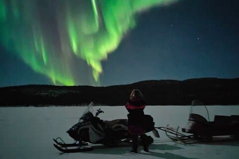 Ivalo: Wildness Adventure af Snowmobile Sleigh