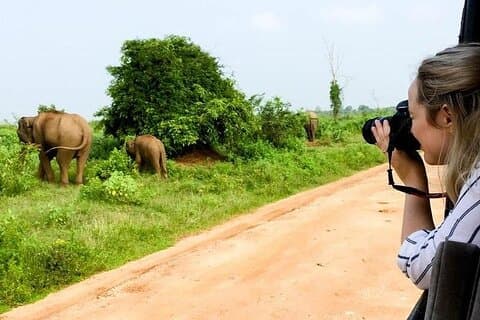 Excursão de um dia de Yala Safari a partir de Bentota/ Kalutara/ Ahungalla/ Hikkaduwa