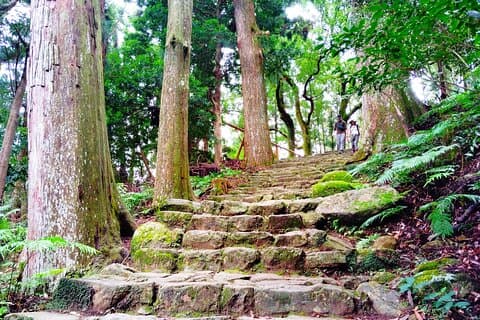 Wakayama: Kumano Nachi Taisha, Seiganto-ji & Waterfall Tour