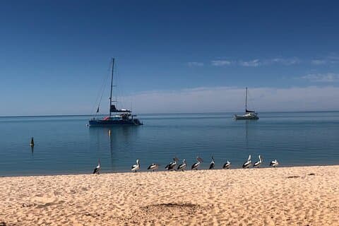 10 Days Guided North Tour from Perth to Exmouth