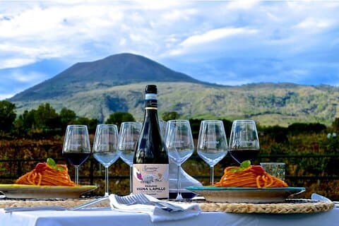 Experiencia privada de cata de vinos y alimentos Vesuvio