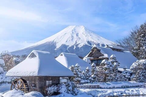 Mt Fuji Arakurayama and Kawaguchiko Scenic Day Tour