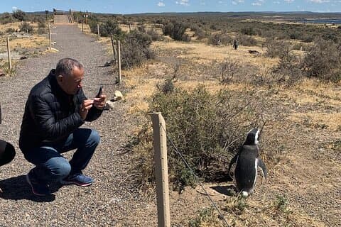Private Tour by Car A Day with Penguins at Punta Tombo