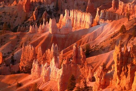 14 Group 3-Day Tour of American Western Las Vegas Round Trip