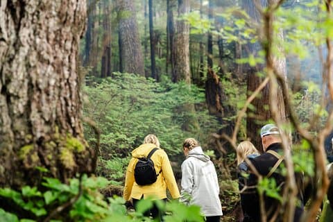 Wildlife Safari e Beach Campfire de Ketchikan