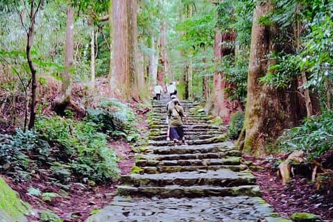 Wakayama: Kumano Kodo Sacred Walk para os Sites Sagrados de Nachi