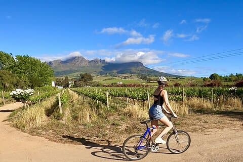 Self Guided Biking & Wine Tastings in Stellenbosch