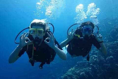 Immersioni subacquee per principianti 2 immersioni, pranzo e trasferimento : Hurghada