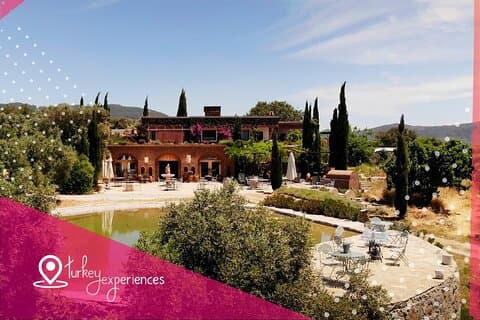 Vin og vidundere i Bodrum: Vine Tasting og Bodrum City Tour