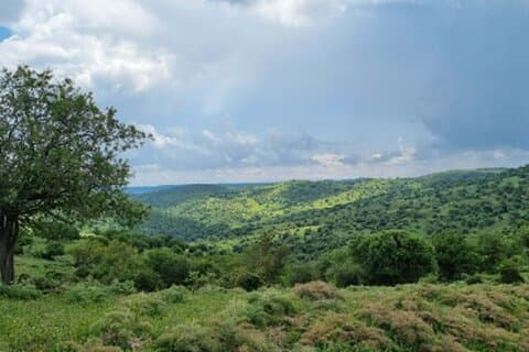 Tolfa: Ferrone-Ringwanderung