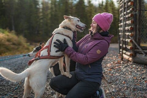Høst Husky Experience med handlekurv og fotograf