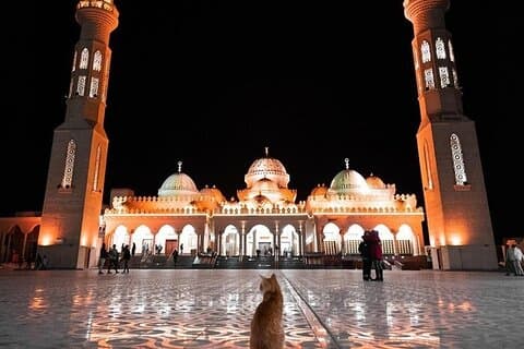 Stadtrundfahrt mit Meeresfrüchten Mittagessen, Moschee & Shopping - Hurghada