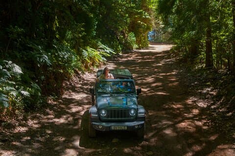 Höjdpunkter på östra Madeira: Privat halvdagsexpedition