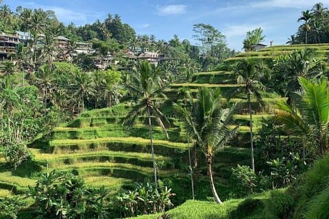 Hotell i nærheten av Sacred Temple Waterfall Rice Terrace and Art Village