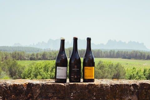Montserrat & Boutique Winery with Catalan Brunch | Private Tour