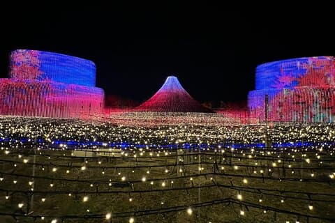 Nagoya : Private Nabana no Sato Tour : Illuminations & Shopping