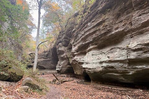 Guided Hike at Starved Rock and Matthiessen Park