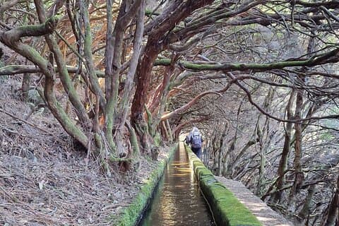 Madeira Hidden Paradise: Private Hike & 4x4 Sightseeing Tour