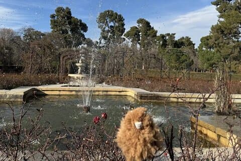Aristocratisch Madrid – Privétour van een hele dag