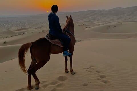 Doha Arabian Horse Riding Adventure in the Desert with Transfer