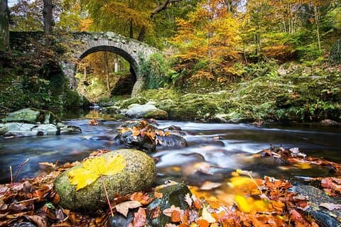 Da Belfast: tour privato di un giorno delle montagne di Mourne