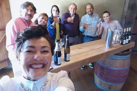 Hawkes Bay Wine Tour: Explore NZ's Great Wine Capital