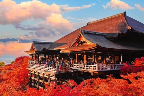Privat Kyoto Nara privat tur från Osaka
