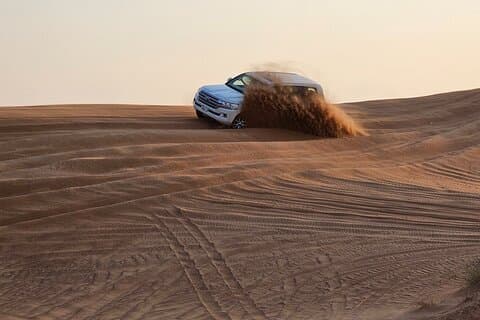 Safari por el desierto de la mañana