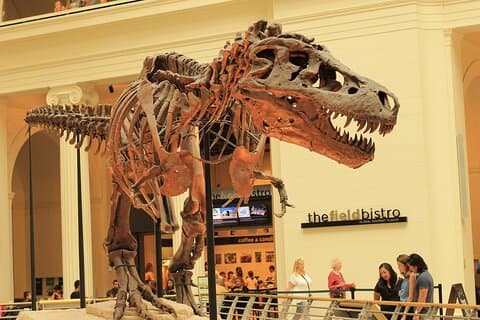 Chicago Field Museum billett og lydtur på telefonen din