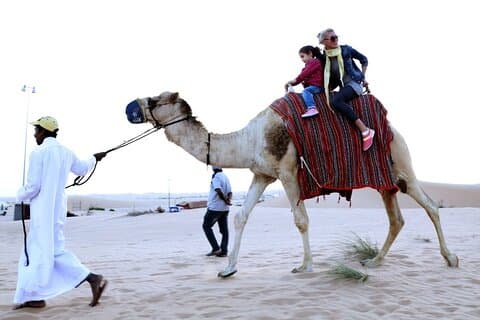 30 minutters privat kamelsafari tur i Ras Al Khaimah