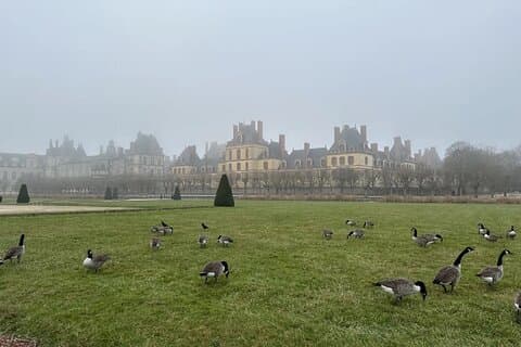 Ganztägige Tour durch das Schloss DE Fontainebleau und das Dorf Barbizon