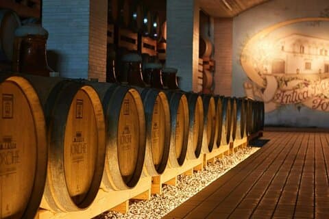 Primitivo Wine Tasting in Manduria with Optional Apulian Lunch