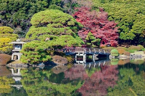 Shinjuku Gyoen National Garden 2 timers vandretur