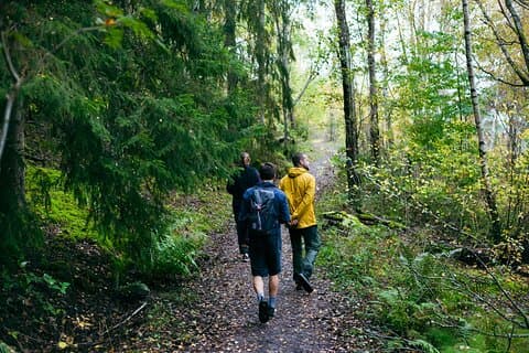Stockholm: Hike, Forest Lunch and Cold-Water Floating