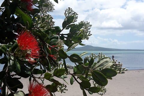 Auckland Coast to Coast tour