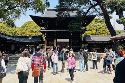 Visite à pied de la forêt sacrée et des traditions shintoïstes du sanctuaire Meiji