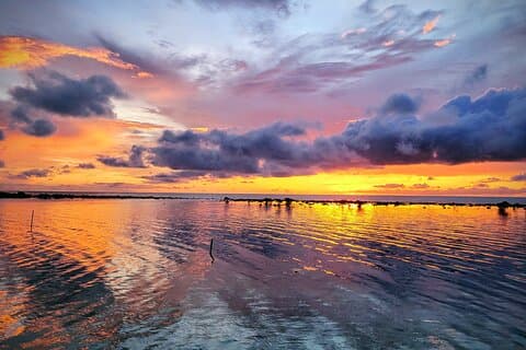 A Mesoamerican Reef Adventure Tobacco Caye Expedition
