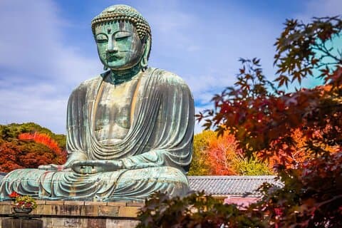 Explore Great Buddha and Temples in Kamakura Private Tour
