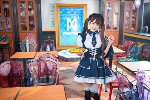 Excursão de Anime Akihabara e Cultura Otaku