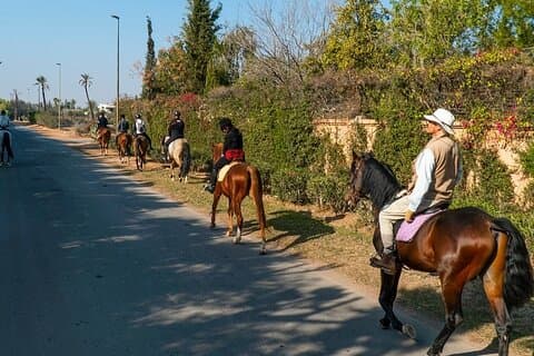 Horseback ride i Marrakech Palmeraie med Mint Tea