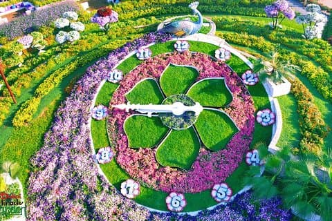 Dubai Miracle Garden en Global Village met privétransfer