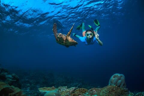 Private 5 Hour Daymaniyat Meio dia de snorkeling
