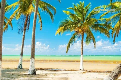 Experience Paripueira Beach Sun Sea and Natural Pools