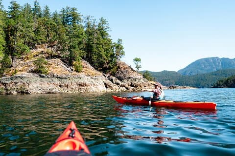 Campbell River: Kajak- og hvalskøjtetur