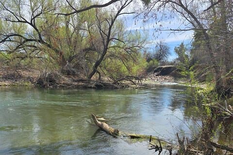 Public Day Jeep Tour with stop at the Rio Verde