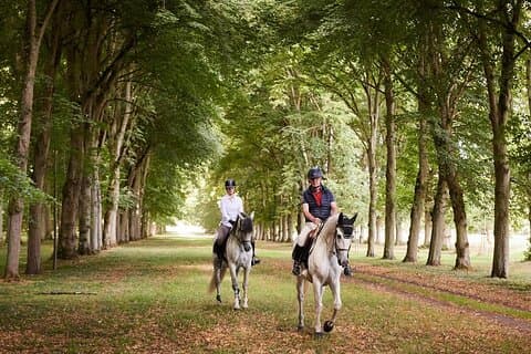 Privat ridtur i slottet Versailles