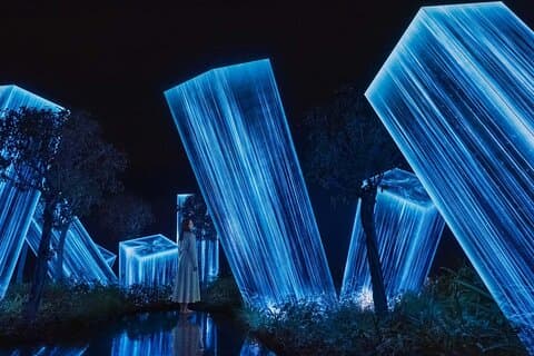 TeamLab Phenomena – Interaktivt lys, lyd og bevægelse vidundere