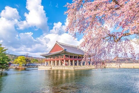 Private Shore Tour: Seværdigheder i Seoul fra Incheon Havn