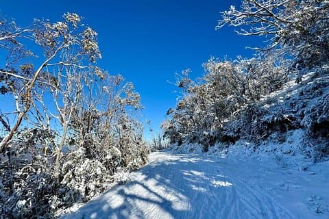 Melbourne : Ultieme Mt Baw Baw sneeuw privé tour ervaring.