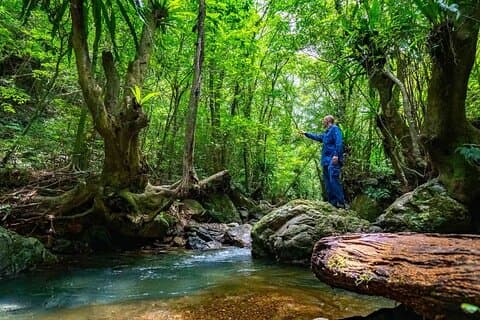 Private Half Day South Amami Jungle Adventure